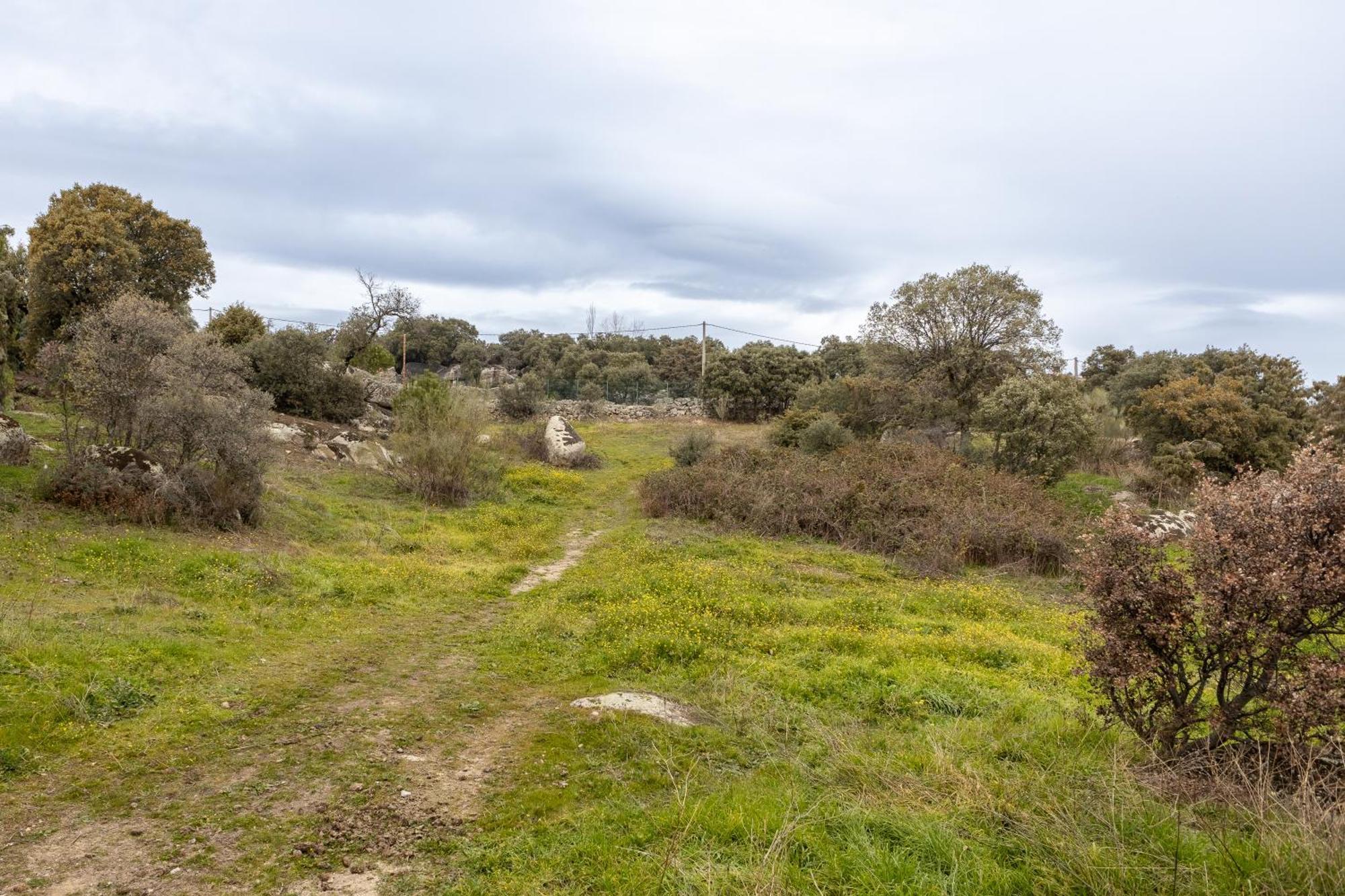Finca El Olivo De Fresnedillas Fresnedillas de la Oliva Екстериор снимка